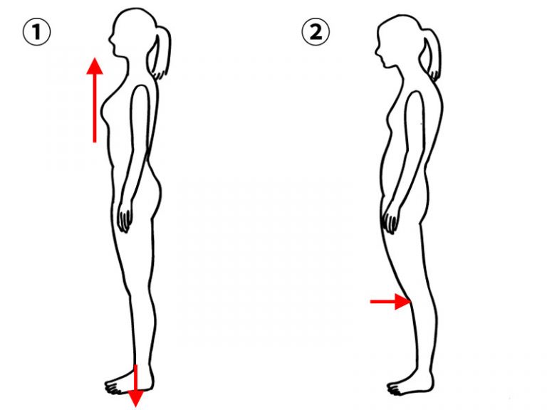 「膝を伸ばさないで」の本当の意味 | MBTウォーキングショップ恵比寿コア